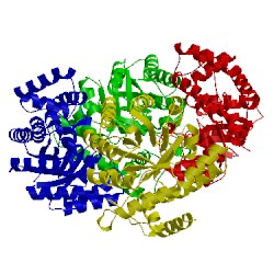 Image of CATH 1fdy