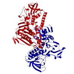 Image of CATH 1feb