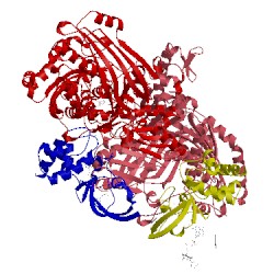 Image of CATH 1ffu