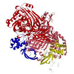 Image of CATH 1ffu