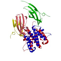 Image of CATH 1fg9