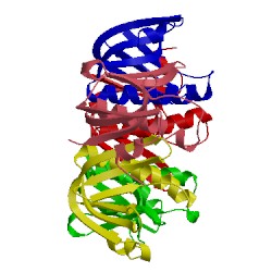 Image of CATH 1fgb