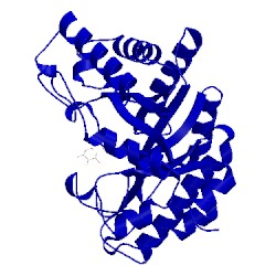Image of CATH 1fh7