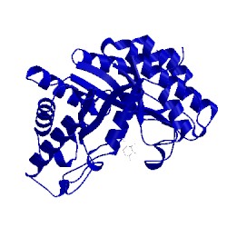 Image of CATH 1fh8