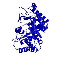 Image of CATH 1fhl