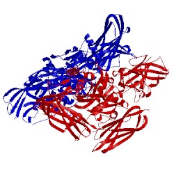 Image of CATH 1fie