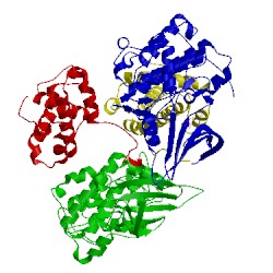 Image of CATH 1fin