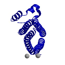 Image of CATH 1fio