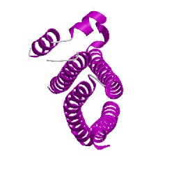 Image of CATH 1fioA00
