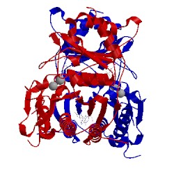 Image of CATH 1fj9