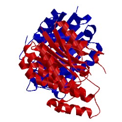 Image of CATH 1fjh