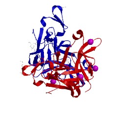 Image of CATH 1fjr