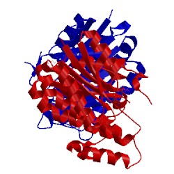 Image of CATH 1fk8