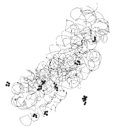 Image of CATH 1fka