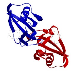 Image of CATH 1fki