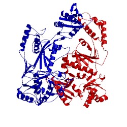 Image of CATH 1fkp