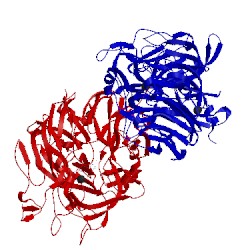 Image of CATH 1flg