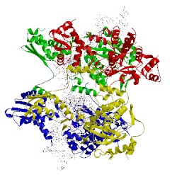 Image of CATH 1flo