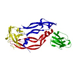 Image of CATH 1flt