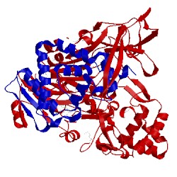 Image of CATH 1fm2