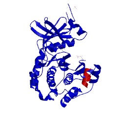 Image of CATH 1fmo