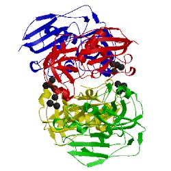 Image of CATH 1fnv