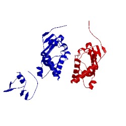 Image of CATH 1fo1