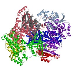 Image of CATH 1foe