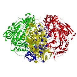 Image of CATH 1foh