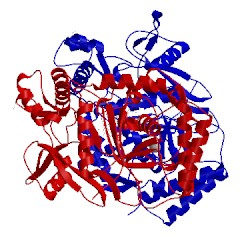 Image of CATH 1foi