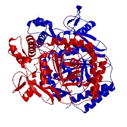 Image of CATH 1foj