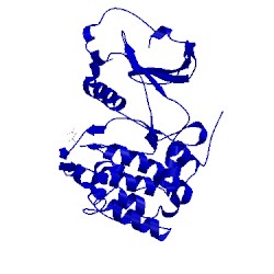 Image of CATH 1fot