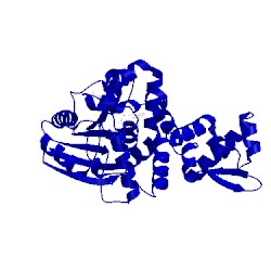 Image of CATH 1fp2