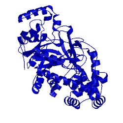 Image of CATH 1fp9