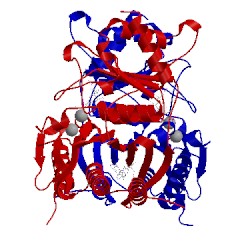 Image of CATH 1fpe