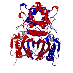 Image of CATH 1fpf