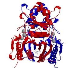 Image of CATH 1fpi