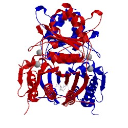 Image of CATH 1fpj