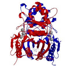 Image of CATH 1fpl