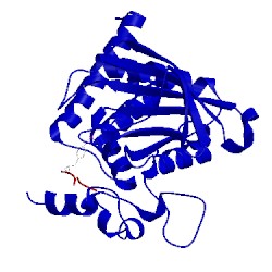Image of CATH 1fpr