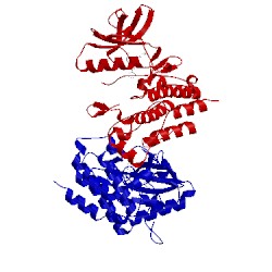 Image of CATH 1fpu