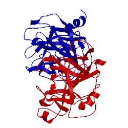 Image of CATH 1fq3