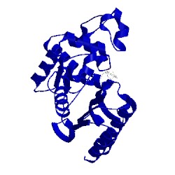 Image of CATH 1fqg