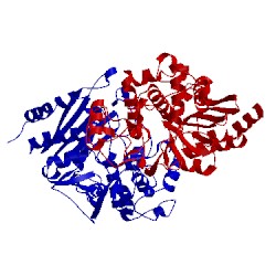 Image of CATH 1fr1