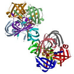 Image of CATH 1fr3