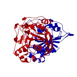 Image of CATH 1fr8