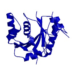 Image of CATH 1fr9