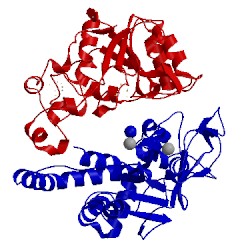 Image of CATH 1frf