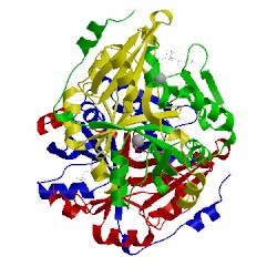 Image of CATH 1fro