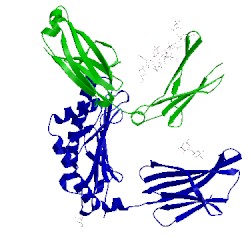 Image of CATH 1frt